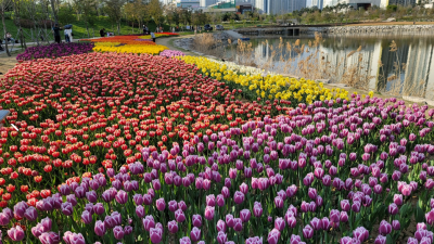 하루 종일 유튜브 답변 달아준 날...